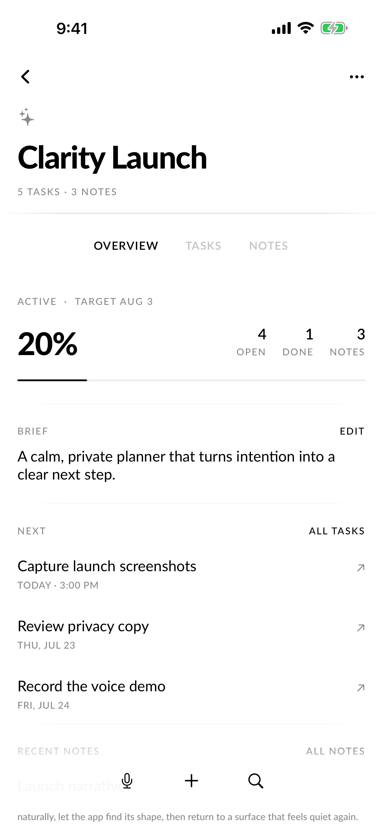 Clarity Projects workspace with progress, tasks, and notes.